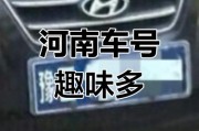 洛阳车牌靓号23年横空出世，车牌收藏界再掀热潮