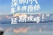 深圳油车牌怎么拍？轻松获取油车指标摄影攻略！