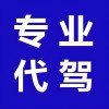 临汾车牌选号：靓号网站助力车主打造个性座驾