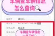 车牌号轻松查询，车主姓名一键获取——全新车牌查询系统引领便捷生活