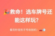 深圳车牌靓号自编攻略：轻松打造你的个性座驾