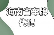 海南靓号车牌拍卖热潮来袭！百万起拍，你敢来抢吗？”