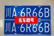 成都2025车牌盛宴：靓号车牌等你来揭晓