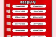 车牌靓号何处寻？全国热门靓号购买指南