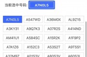 杭州网上选车牌，车主们的新宠儿！