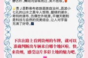 毕节车牌靓号申请攻略：车牌号码背后的故事