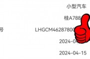 四川交通网车牌号摇号风云：新规来袭，车主们抓紧时间抢号！