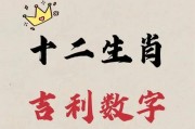 属鼠人车牌号中的数字，幸运数字背后的秘密！