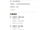 外地人士攻略：详解上海车牌办理流程