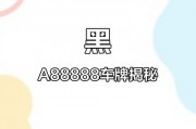 哈尔滨黑A靓号车牌：车牌中的明星，车界焦点