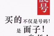 临武车牌靓号，独特魅力，限时抢购