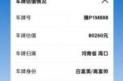 一秒看懂车牌价值：车牌照评估价格查询神器，轻松掌握车辆价值！