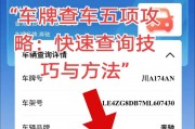 重庆车主必看！车牌进度查询攻略，轻松掌握最新动态