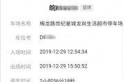 一查便知！车牌号轻松查询车主信息，隐私安全有保障！