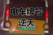 抢眼！电动车靓号车牌惊艳亮相，车主们纷纷抢购！