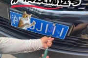车牌靓号：如何轻松出手，成就你的身份象征！
