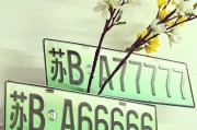 车牌号选生日，个性化车牌新潮流！