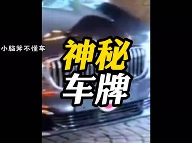 神秘车牌:查无此车,隐藏在角落的真相!