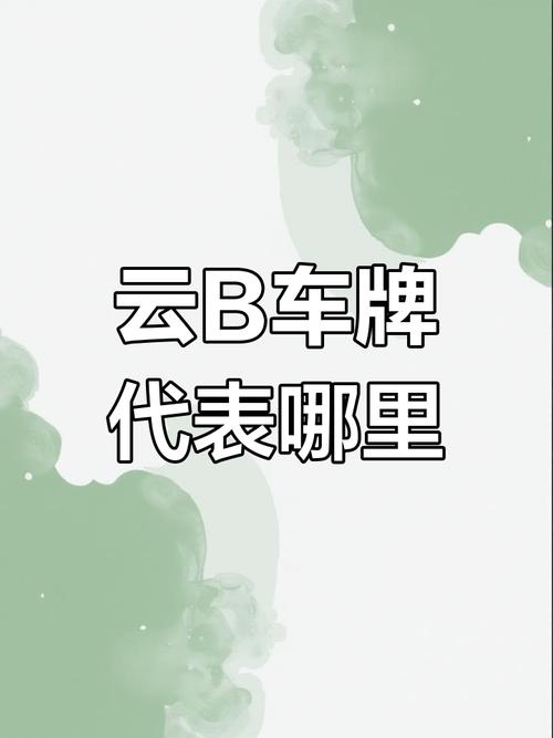 云南车主福音!网上选车牌号,个性化车牌轻松入手