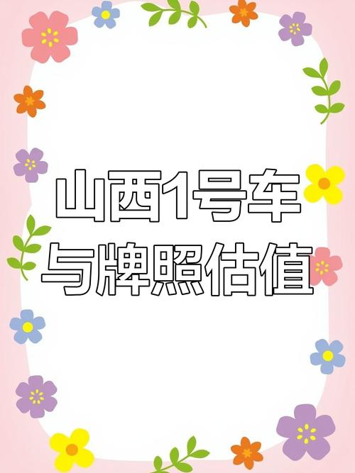 山西繁峙靓号车牌,车牌中的金字头车牌引发热议