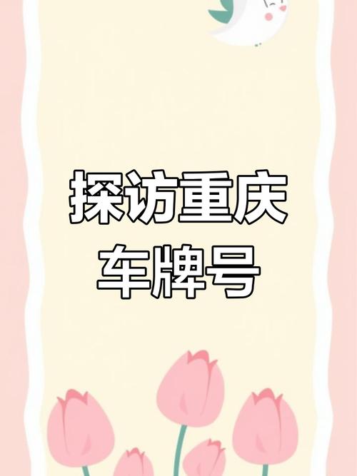 车牌号XXX:神秘数字背后的热门故事!
