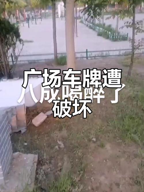 神秘车牌没有引发热议,背后惊人真相