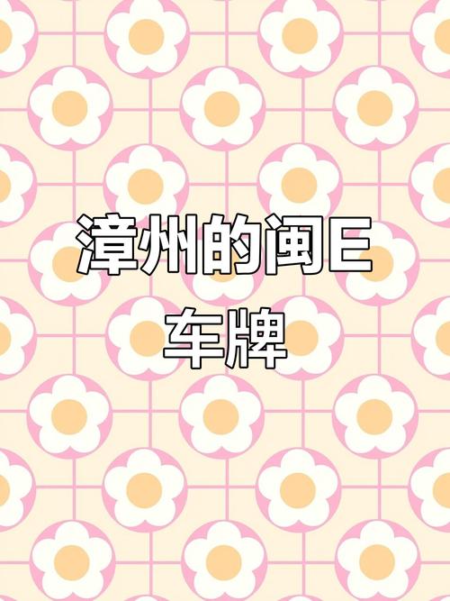 探秘车牌E开头:这些热门城市车牌背后的故事