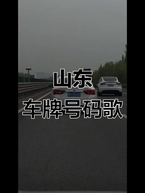 山东车牌靓号:数字魅力下的身份象征与文化传承