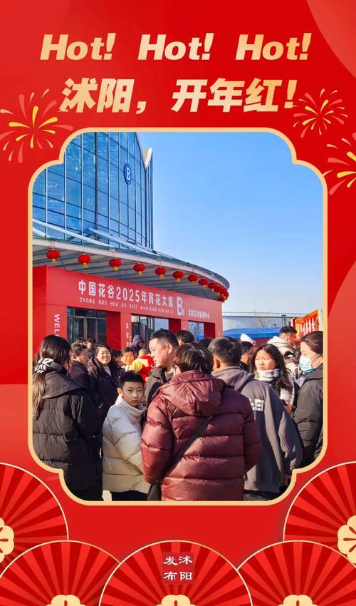 沭阳车牌靓号,抢手热售,车牌新宠,尽在沭阳公司!”