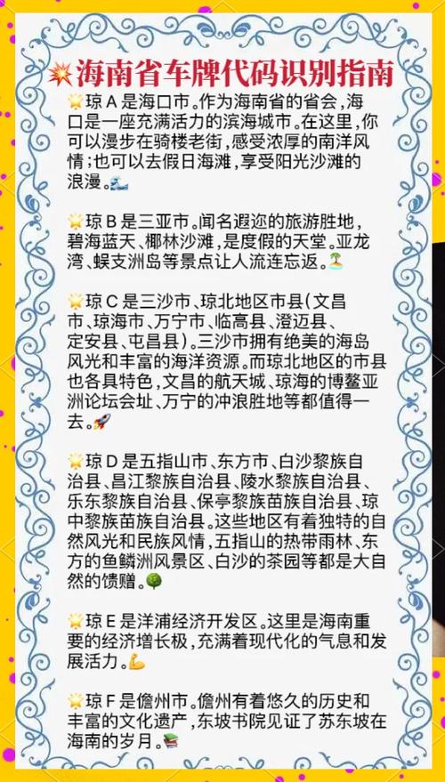 海南车牌摇靓号,车牌号码竞猜热潮席卷全岛