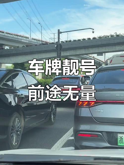 意外收获:车主喜提心仪靓号车牌,瞬间走红网络