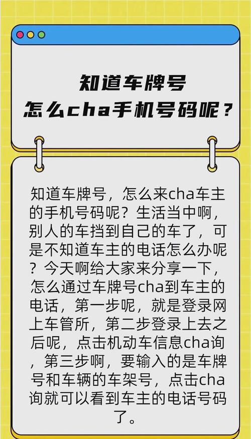 内乡车牌靓号查询网:探寻车牌背后的故事与寓意