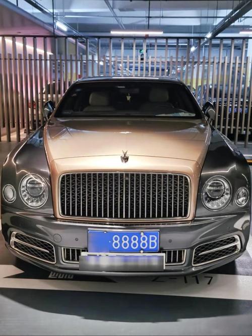 全国最牛豹子号车牌靓号,价值连城,谁将夺得?”