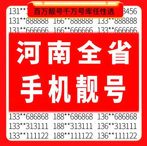 河南车牌靓号23456,见证车牌文化新风尚