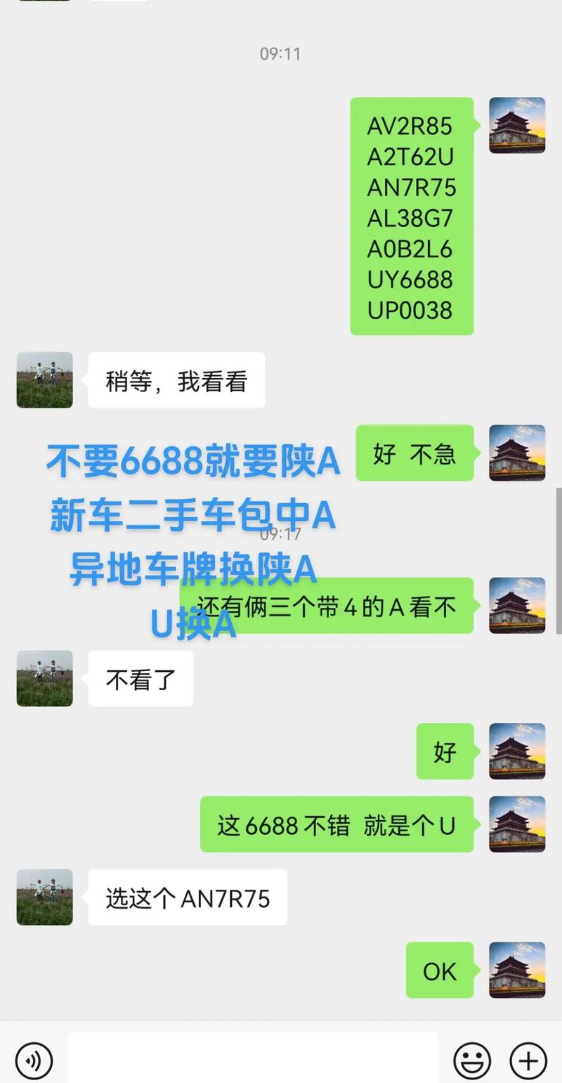 延安车牌号靓绝江湖”,车主喜提神秘车标,瞬间成为焦点!