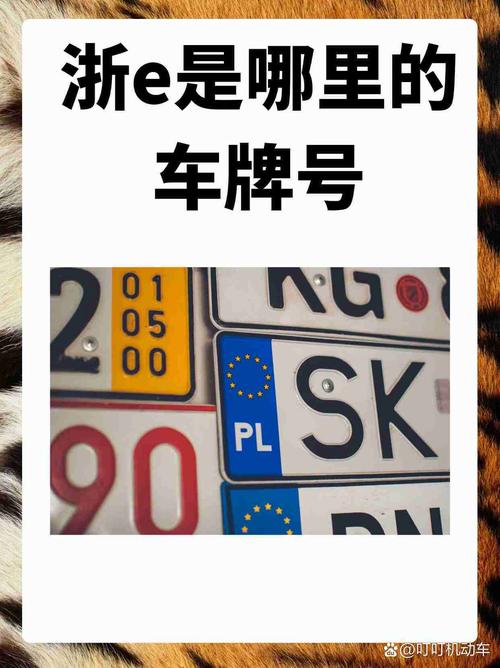 台州车牌号码新规来袭,车主们速来官网查询热门号码!