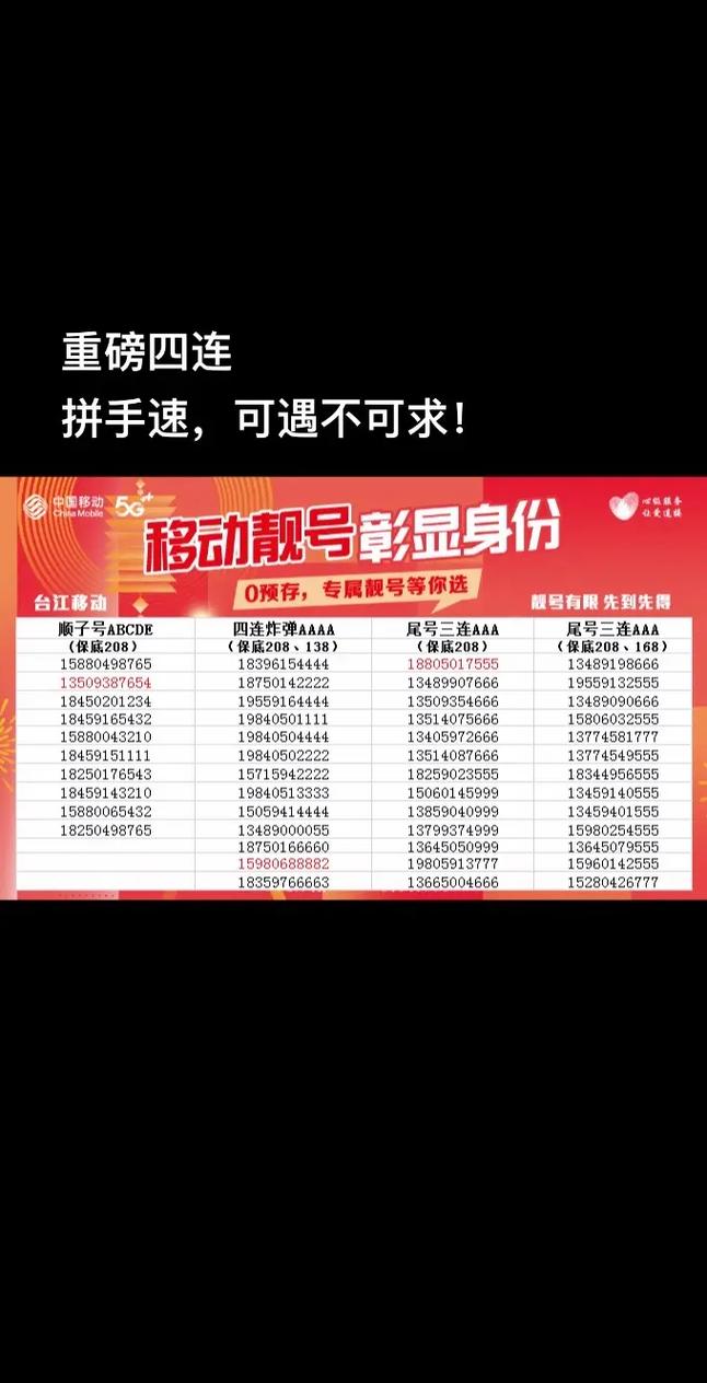 宁波车牌摇号,靓号来袭,抢购热潮一触即发!