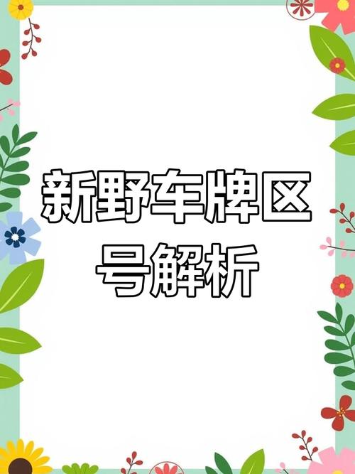 河南车牌靓号归属之谜:管理权归属真相