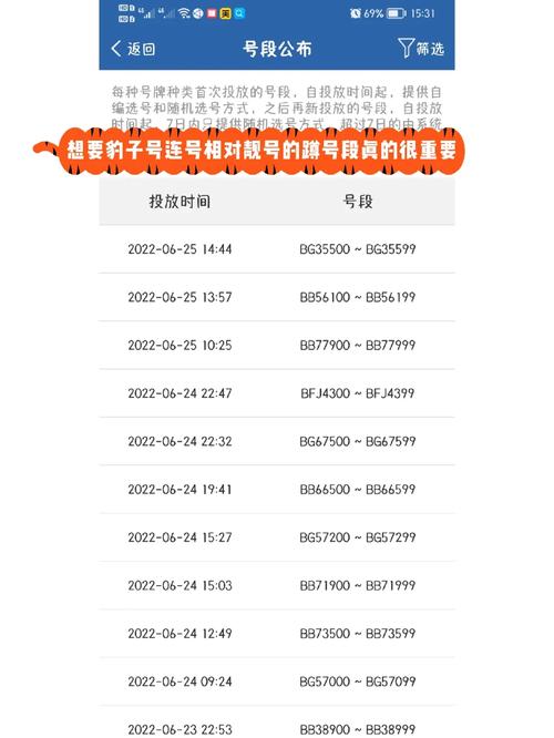 探寻车牌传奇:林东靓号,号码背后的故事等你揭晓