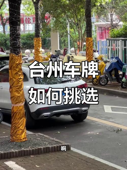 台州车牌靓号选号现场,千辆豪车齐聚见证车牌诞生时刻