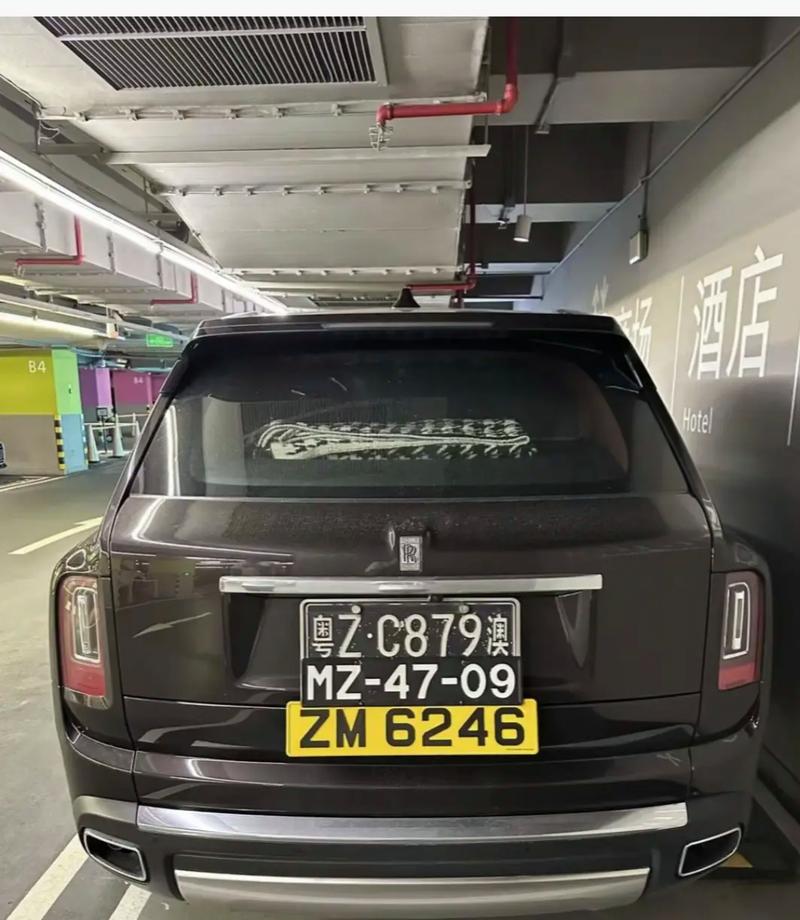 喜提吉祥车牌号!这位车主喜获三位数车牌,好运连连!