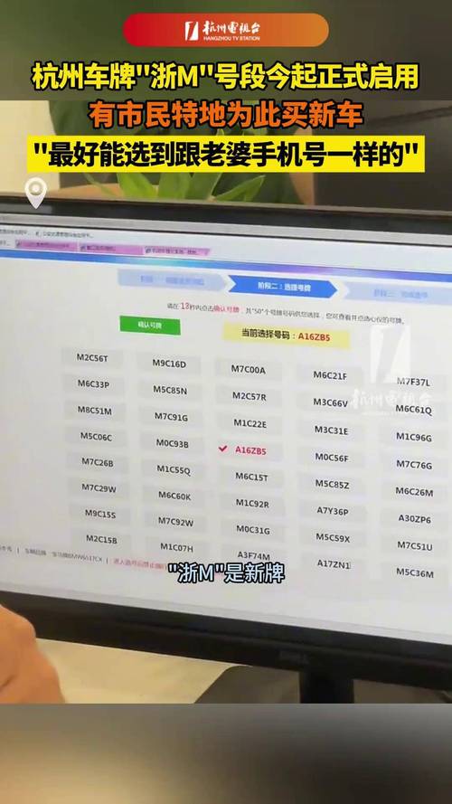 杭州摇号车牌结果揭晓,热门车型摇号激烈争夺!