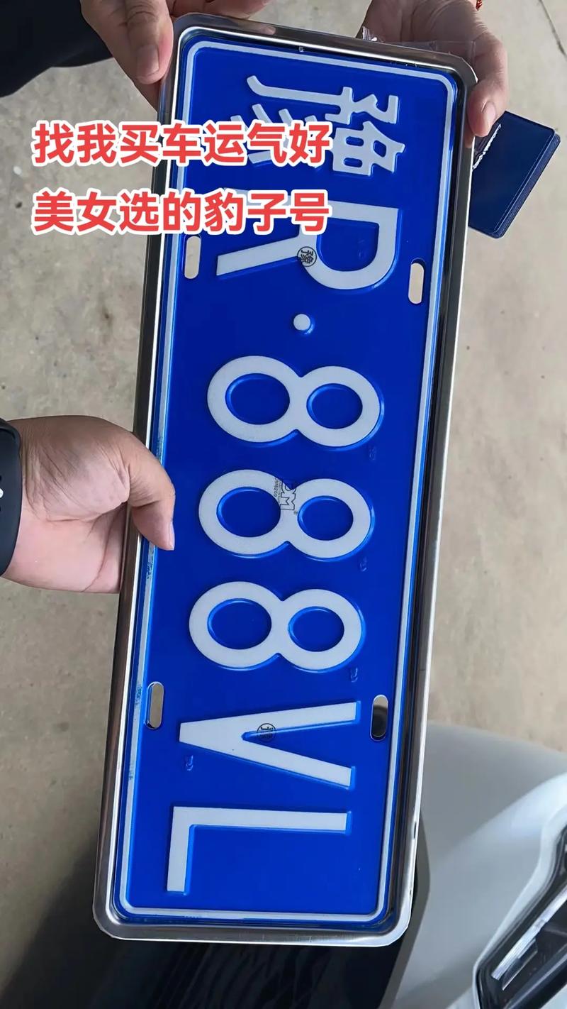洛阳市车牌靓号拍卖热潮,车牌收藏新风向