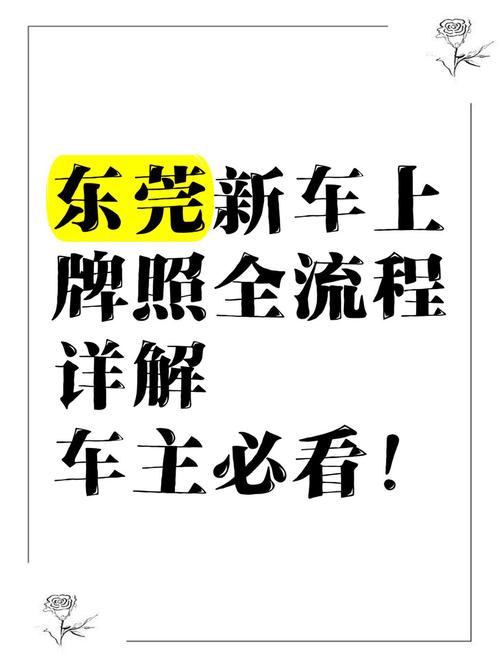 东莞电车牌照靓号热抢!一睹为快,车牌中的明星”