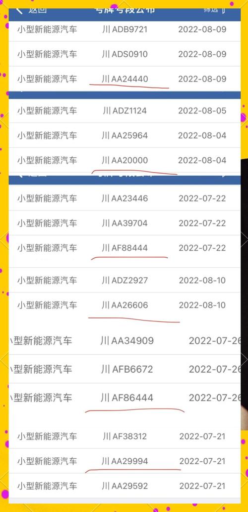 农村车牌靓号背后的故事:如何轻松获得