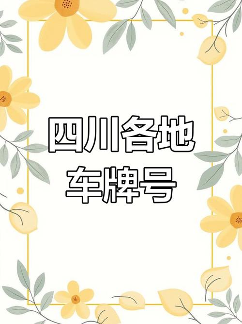 乐山车牌靓号闪耀,车牌号码成为城市新潮流