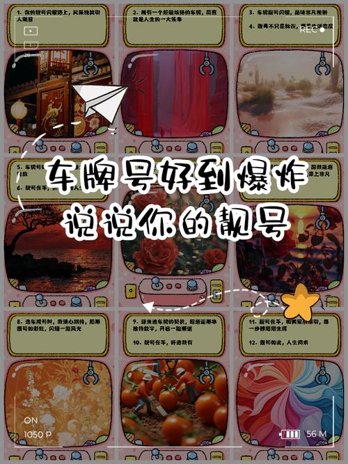 抢眼直播!车牌靓号选号盛宴,精彩瞬间不容错过