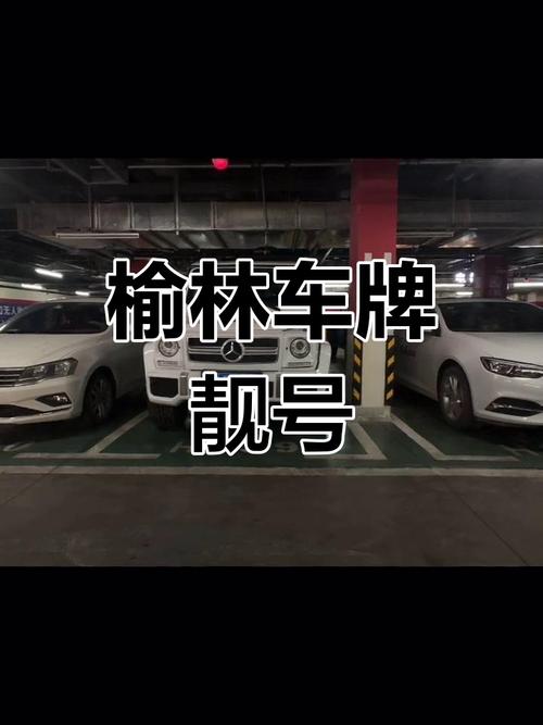车牌西祠亮相,引发网友热议:车牌也能如此诗意?