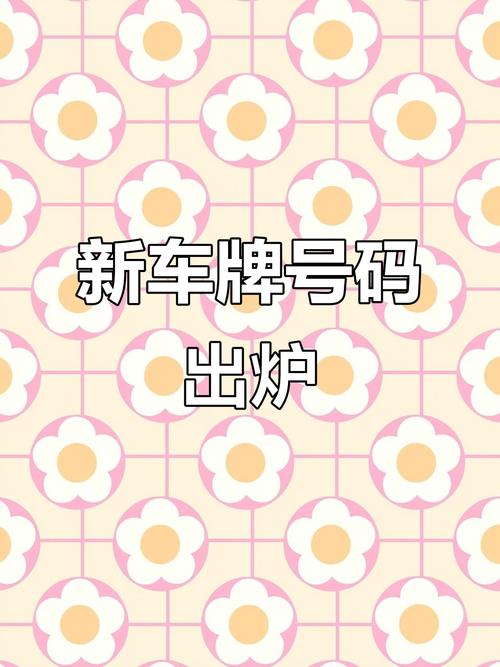 广州车牌靓号最新开奖时间公布!快来抢号!