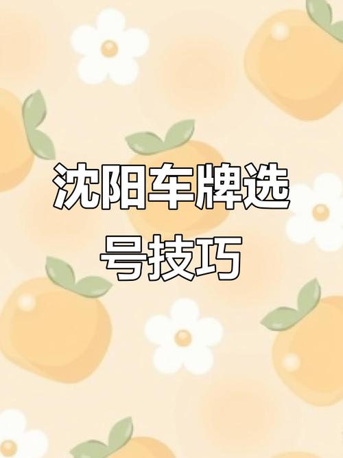 沈阳靓号车牌交易网:热门靓号车牌抢购指南